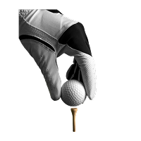 golf gloves