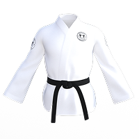 taekwondo gi